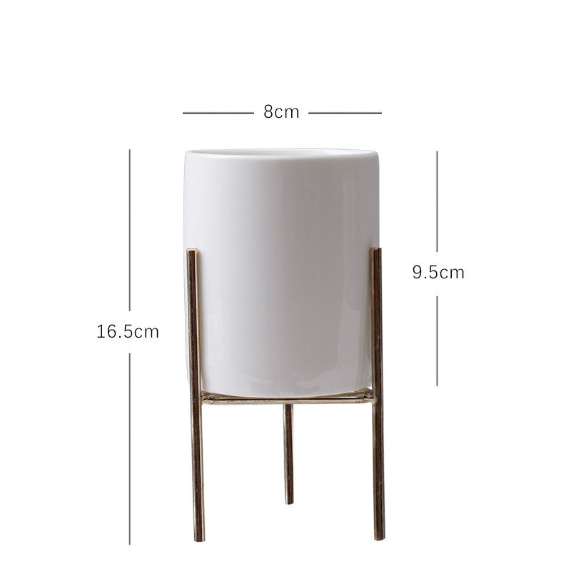 Plant Succulent Flowerpot