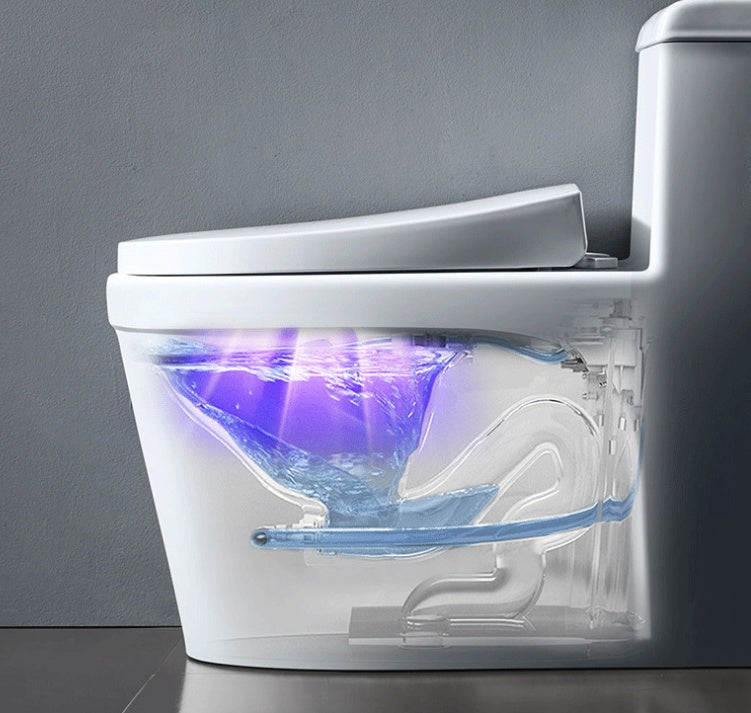 Household Ultraviolet Ozone Purifier Toilet Toilet