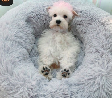 Fluffy Round Pet Nest Bed – Plush Donut Calming Bed for Dogs & Cats