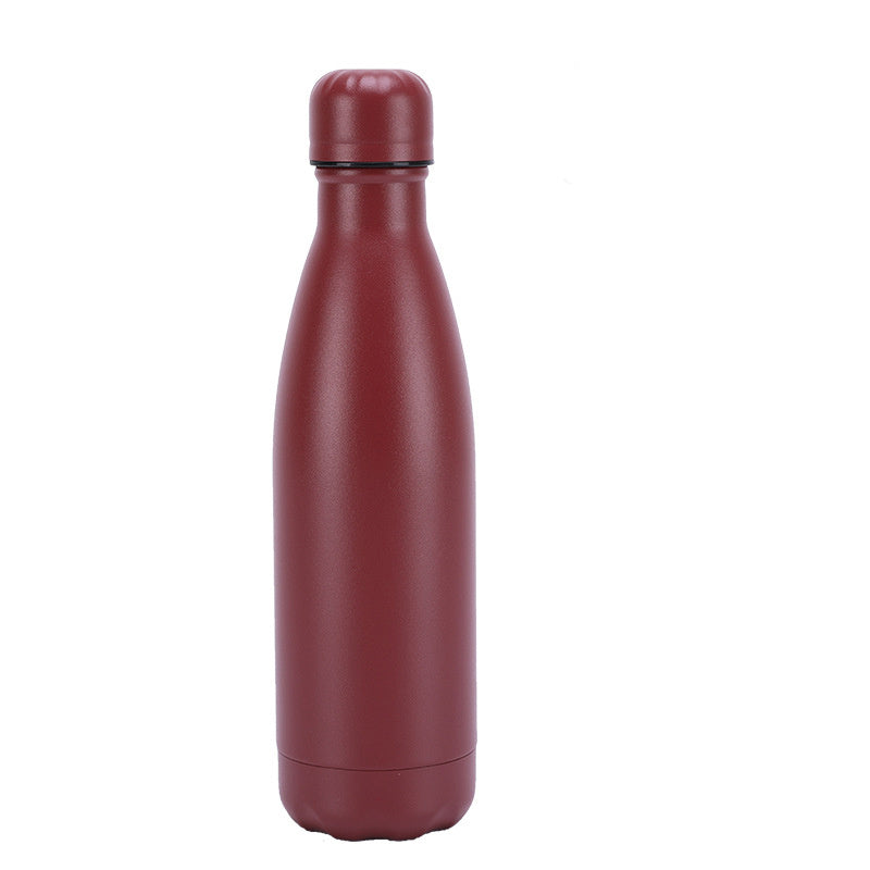 Insulated Stainless Steel Water Bottle Mug
