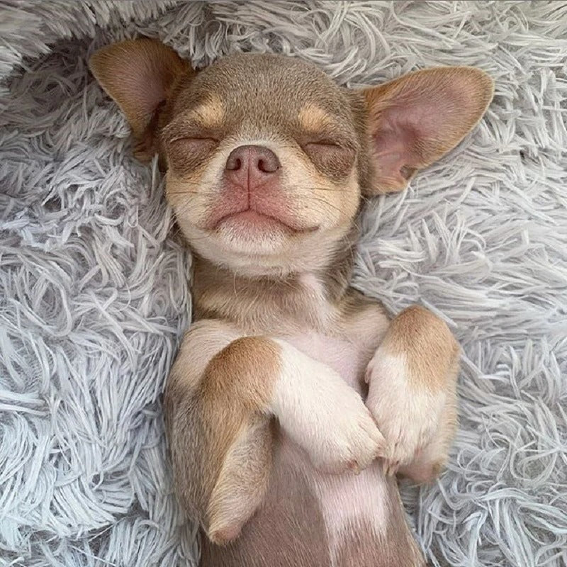 Superzachte wasbare hondenmand - Pluche fluwelen kennel en kattenmand