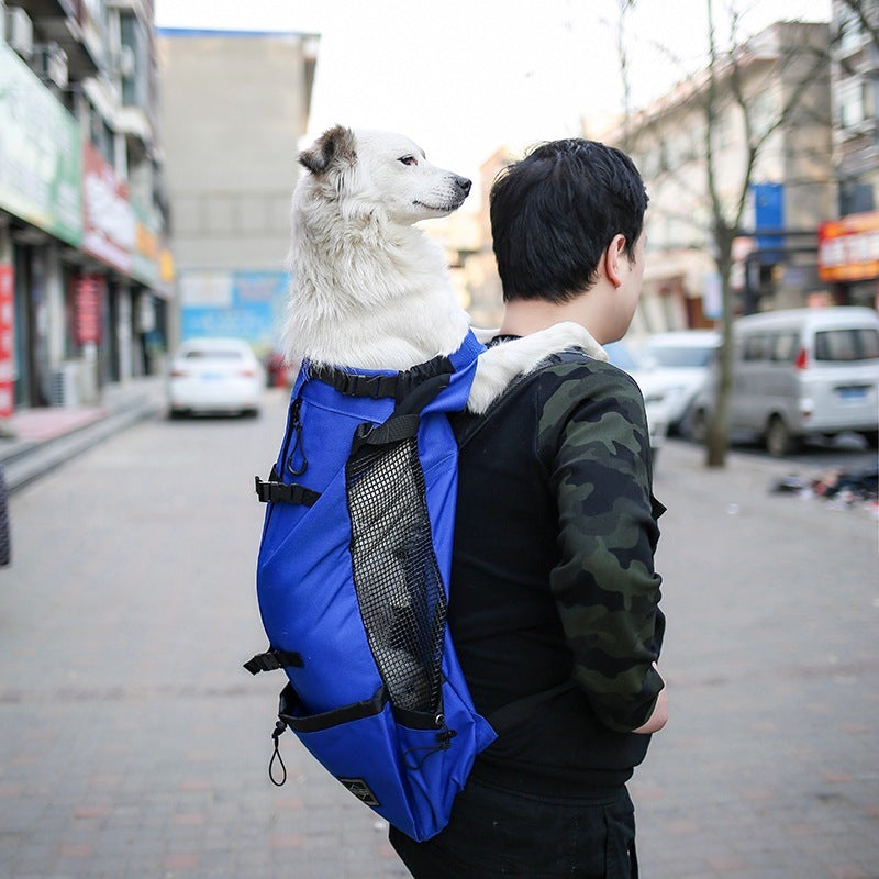 Portable Pet Travel Backpack for Dogs