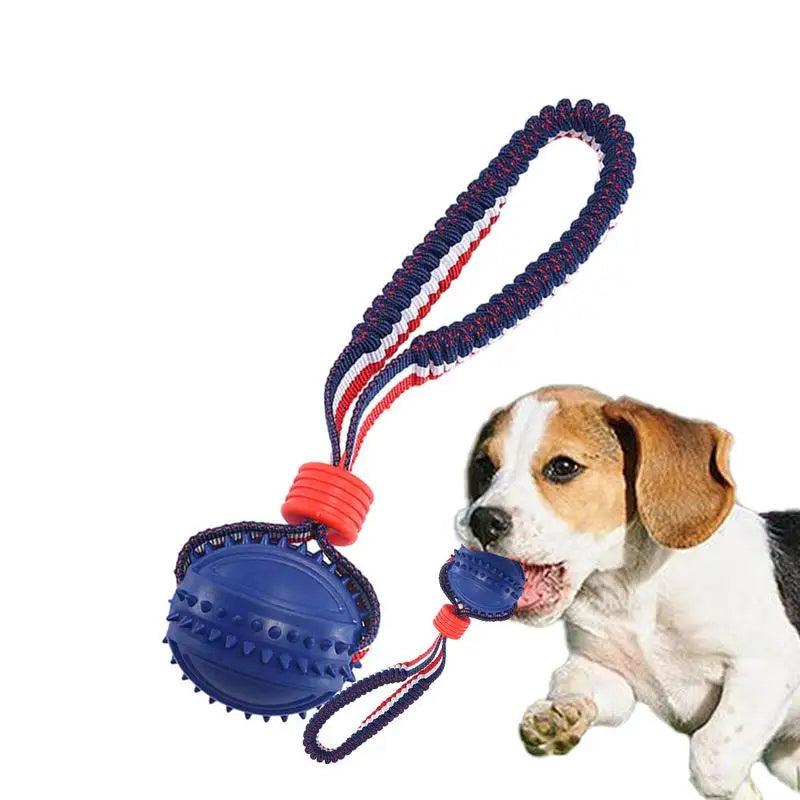 Pet Chewing Toy Ball for Play & Training
