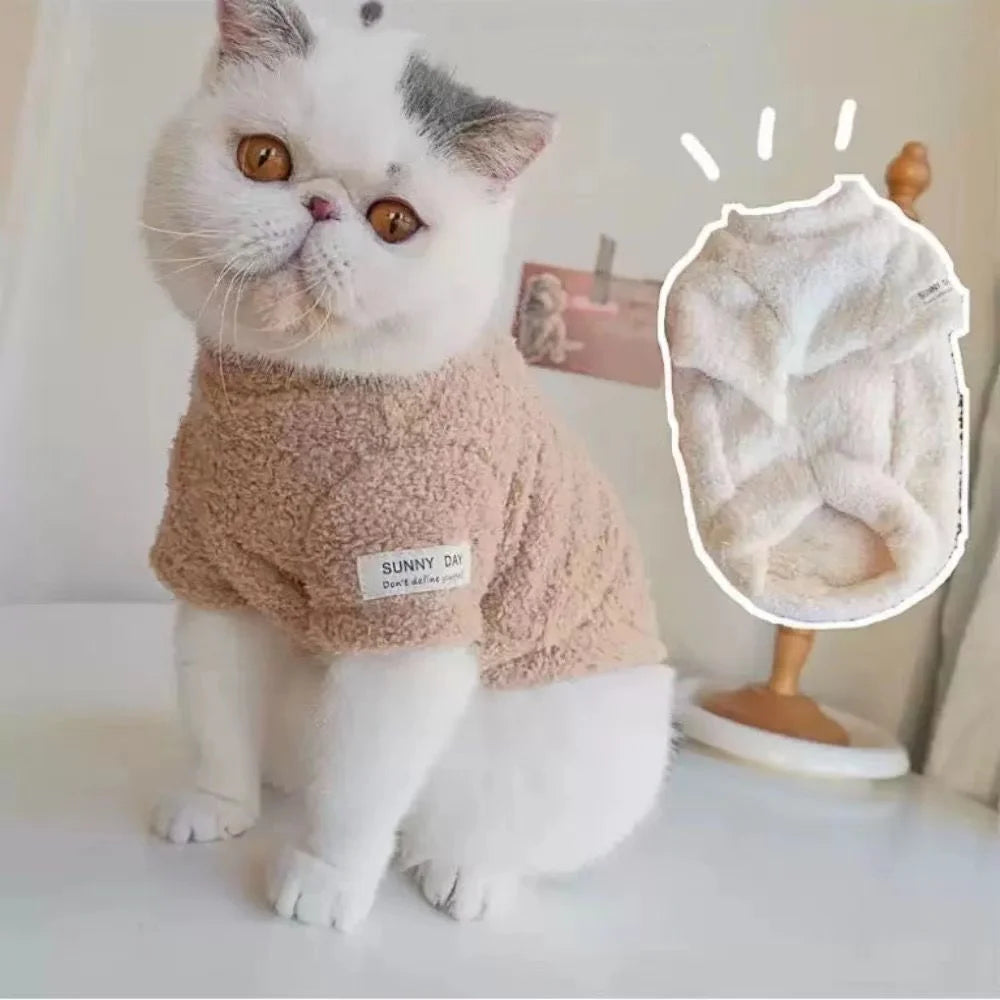 Winterhondentrui – Warme effen outfit voor kleine en middelgrote honden