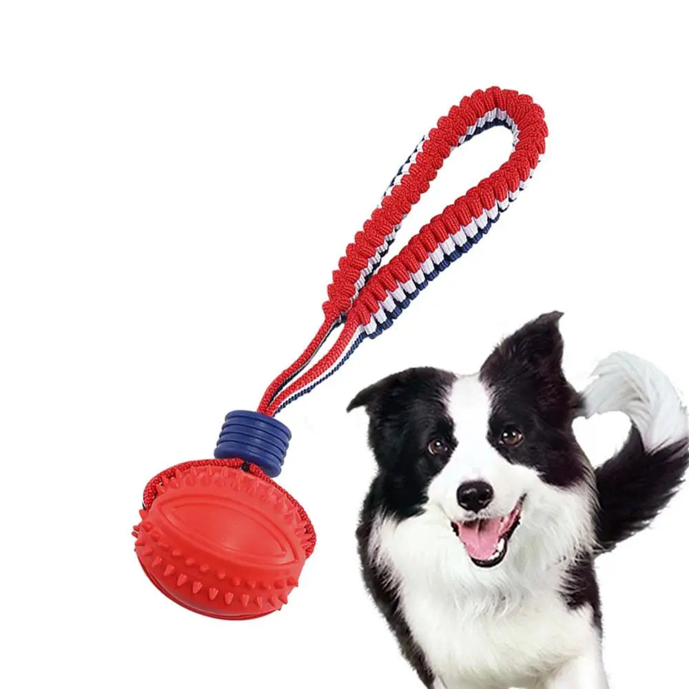 Pet Chewing Toy Ball for Play & Training