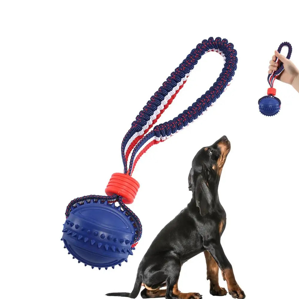 Pet Chewing Toy Ball for Play & Training